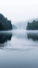 Subtle Ripples in Still Water Surrounded by Foggy Trees