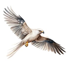 Fototapeta premium beautiful animal in a studio isolated wild life