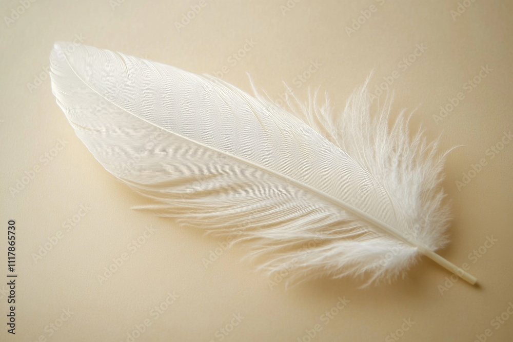 Poster a single white feather lying flat on a table surface