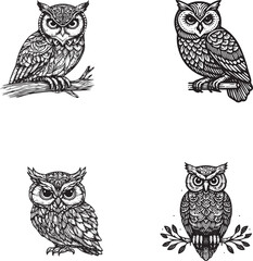 Hand-Drawn Owl Illustrations Set