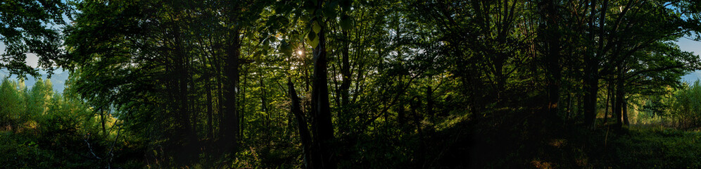 Panoramic nature landscape, soft pastel colors, dream nature, sunset autumn background, peaceful amazing nature panorama