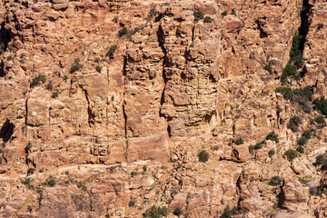 Dana is biosphere reserve in Jordan. Biosphere reserve is largest environmental protection zone in country. Rare species of vegetation grow on mountain slopes of canyon and Eastern Rift Valley.