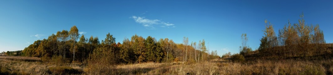 Fototapeta premium Panoramic nature landscape, soft pastel colors, dream nature, sunset autumn background, peaceful amazing nature panorama