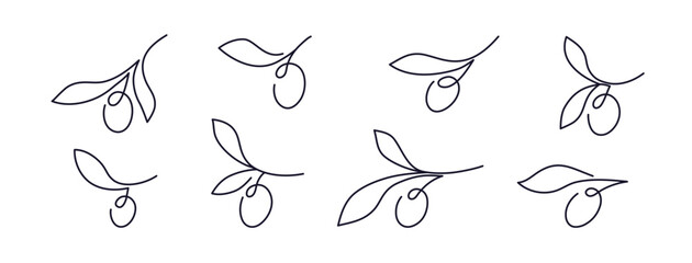 Olive branch. Vector continuous line set. Minimal