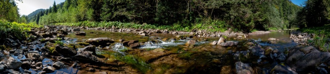 panorama with the river in the mountains on an autumn day