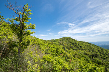 青空の下の霧島連山の矢岳