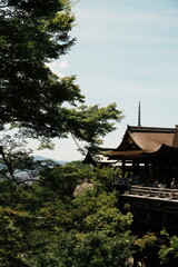 Fototapeta premium japanese temple in kyoto