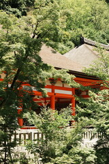 japanese temple in kyoto