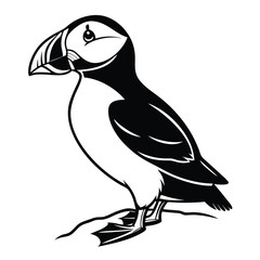 Obraz premium a black and white line drawing of a puffin bird