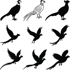 Pheasant silhouette Vector Silhouette, Flying pheasant silhouette, Pheasant SVG, Pheasant silhouette clip art.