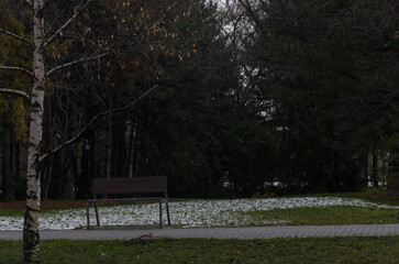 evening park with snow on a green lawn and a bench