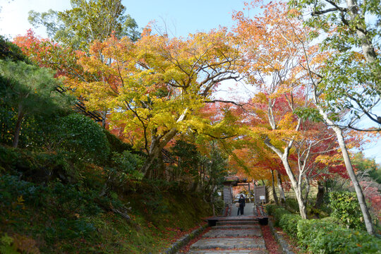 化野念仏寺 - Gallery Gado Online Shop