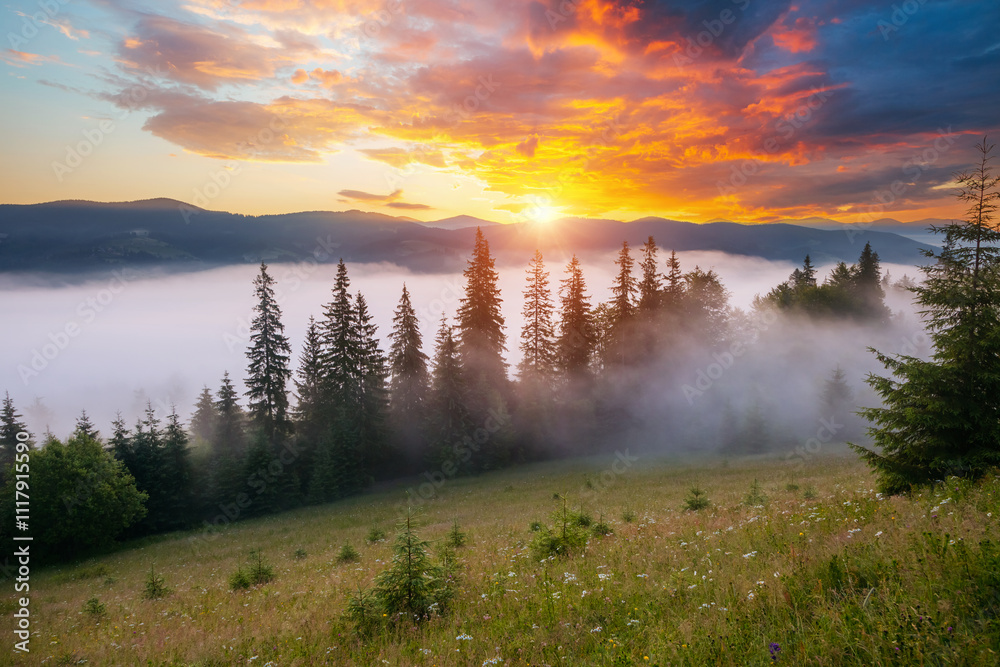 Fototapete A picture of a calm landscape with fog and a colorful sunrise. Carpathian mountains, Ukraine, Europe.