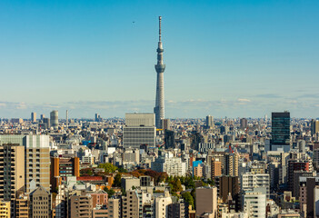 Tokyo skyline with Skytree skyscraper, Japan