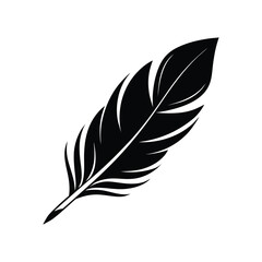 Obraz premium Feather Silhouette Vector Art Design