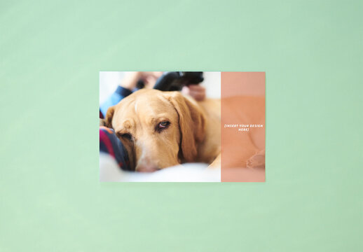 Horizontal 10x15 4x6 Glossy Paper on a Soft Green Background