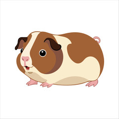 Flat Vector Illustration of Adorable Guinea Pig with Large Eyes and Plump Body