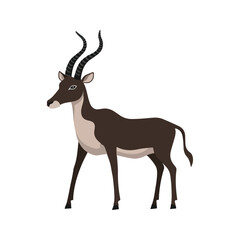 Flat Vector Blackbuck Illustration, Stylized Dark Brown Body with Spiraled Horns, Minimalist Modern Design