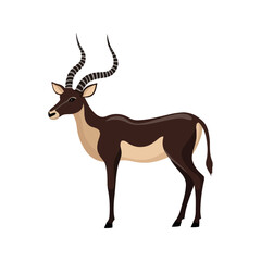 Flat Vector Blackbuck Illustration, Stylized Dark Brown Body with Spiraled Horns, Minimalist Modern Design