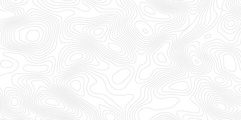 Abstract topographic map background. Topographic map lines contour background. 
