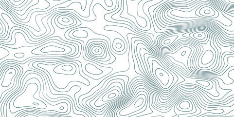 Abstract topographic map background. Topographic map lines contour background. 
