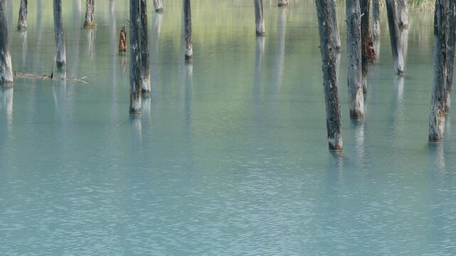 The scenic beauty of Blue Pond in Furano, Japan