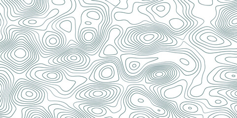 Abstract topographic map background. Topographic map lines contour background. 
