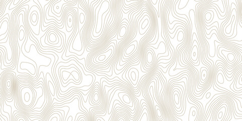 Abstract topographic map background. Topographic map lines contour background. 
