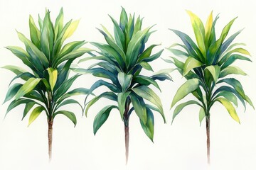 Three vibrant illustrations of leafy plants showcasing different shades of green.