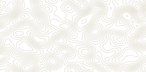 Abstract topographic map background. Topographic map lines contour background. 
