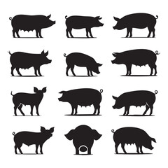 Silhouette set of pig on white background