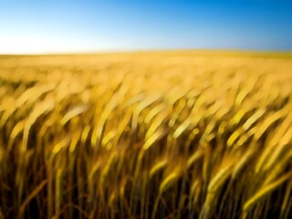 Obraz premium Abstract Farm Field with Gentle Bokeh Light