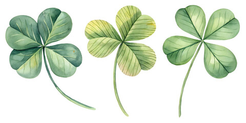 clover leaf leaf watercolor illustration