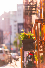 Vibrant Urban Scene With Sunlit Greenery Hanging On Ornate Iron Railings In Bustling City Street