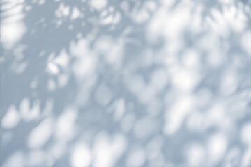 Abstract Tree Leaves Shadow on White Wall - Natural Minimalist Design