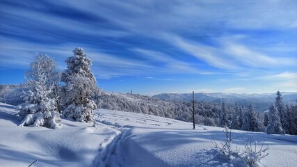 Czerwony szlak Mały Cisowy Wielka Cisowa Błatnia zima © Marta