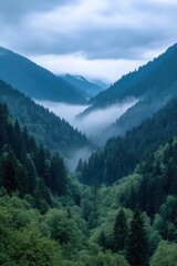 Fototapeta premium Misty Valley Landscape Surrounded by Lush Green Forest Mountains