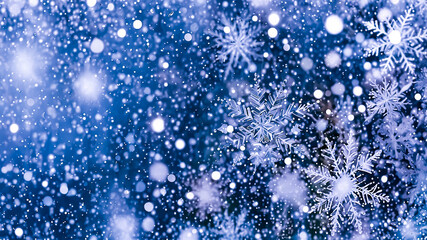 A flurry of snowflakes against a dusky backdrop.