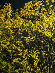 Edinburgh, Scotland, United Kingdom