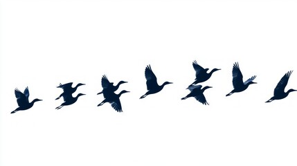 Silhouette of a flock of birds in flight against a white background.