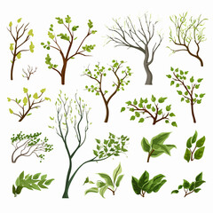 Obraz premium Ultimate collection of diverse tree branches for graphic design projects