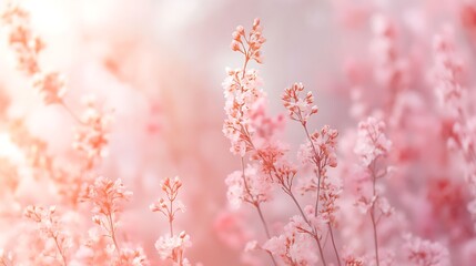 Fototapeta premium A soft-focus image of delicate pink flowers creating a serene and tranquil atmosphere.