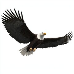 Fototapeta premium Stock ClipArt of a bald eagle in flight, featuring a transparent background.