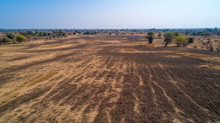 Fototapeta premium Burnt African Savanna Landscape