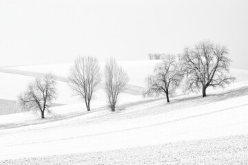 Obraz premium A serene winter landscape with bare trees and snow-covered fields.