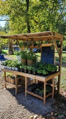 A wooden stand displaying various potted plants and herbs for sale.