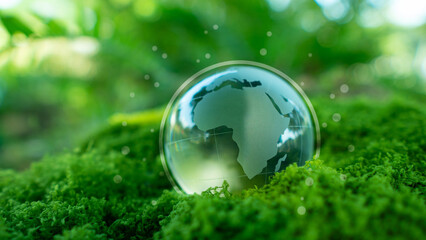 Crystal Earth on the ground in the forest with ferns and sunlight - Ecology concept. World Earth Day banner. Environment. Keep the world clean. Ecology.