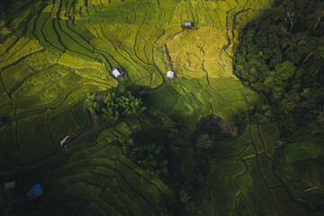 Fototapeta premium Green fields of agricultural land on a mountain in Thailand