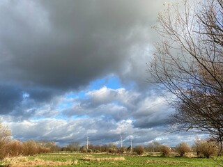 Himmel und Windkraft und Schafe