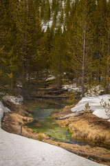 Stream in springtime, Yellowstone National Park